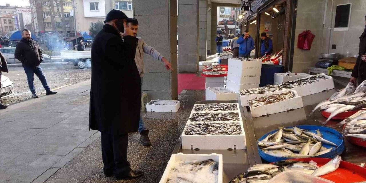 Beklenen Gürcü hamsisi sonunda geldi