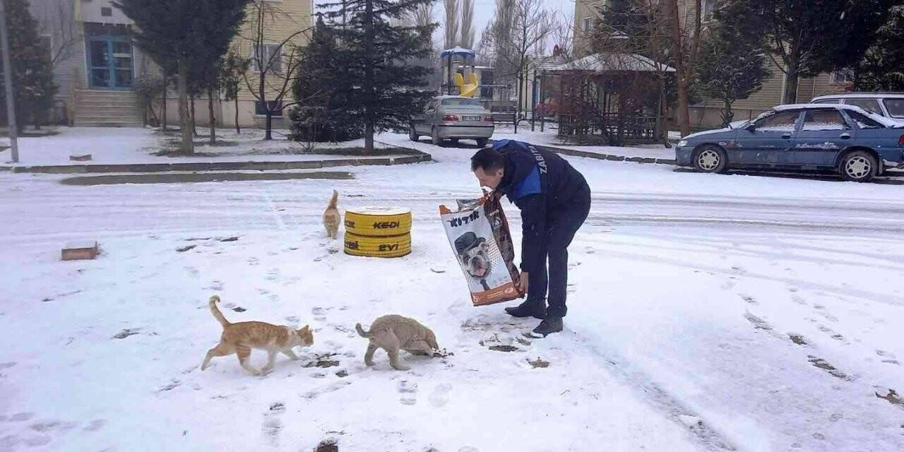 Hisarcık Belediyesi sokak hayvanlarını unutmadı