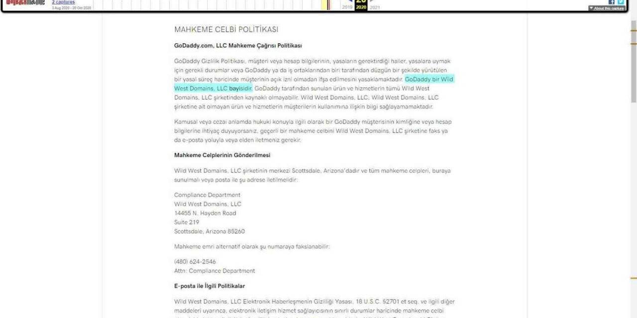 Godaddy’in gasp ettiği internet alan adlarını açık artırmayla satışa çıkardığı iddia edildi