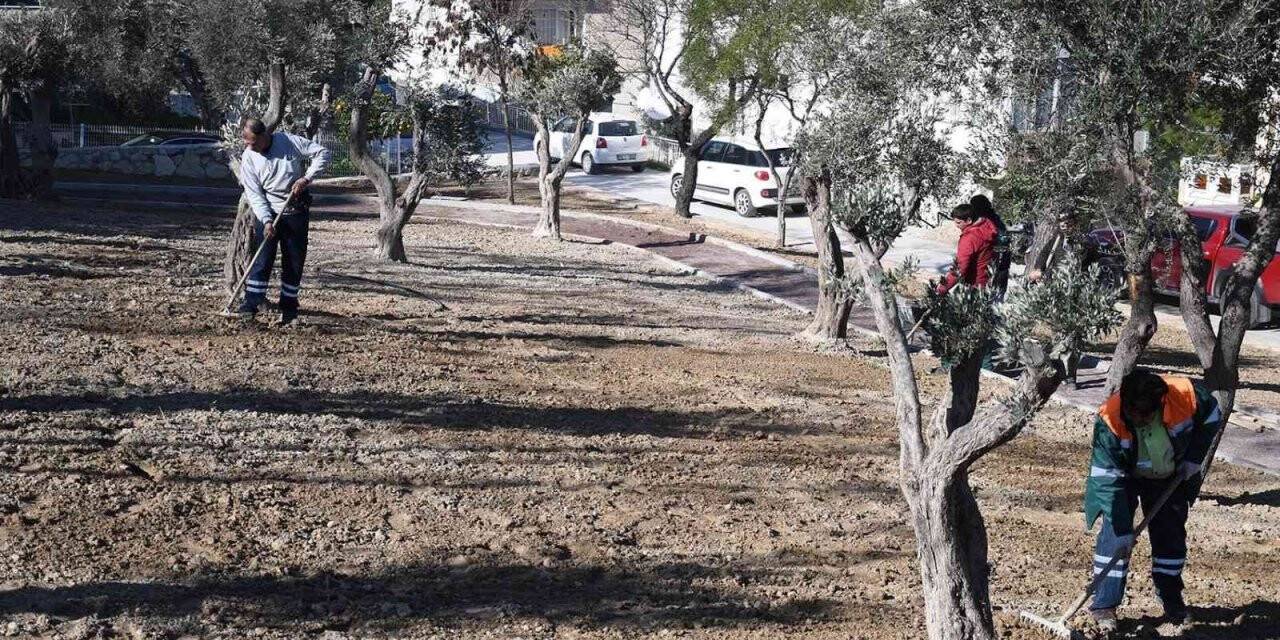 Yemyeşil bir Kuşadası için çalışmalar sürüyor