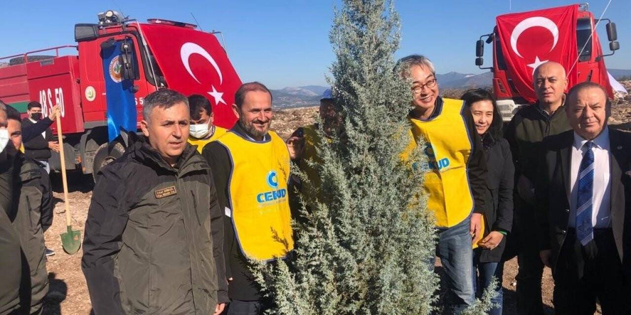 Türk-Kore dostluğu fidanlarla büyüyecek