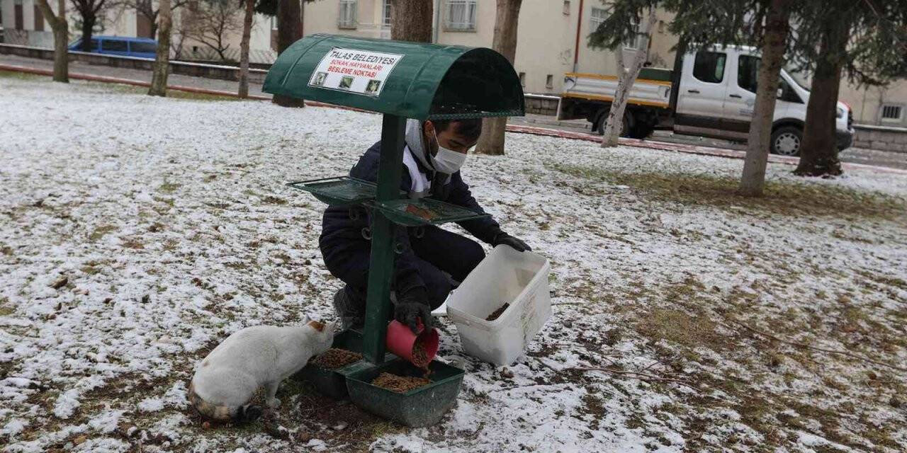 Talas’tan can dostlara şefkat eli