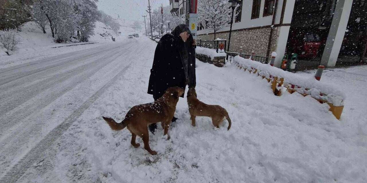 Onlar itfaiyenin neşe kaynakları