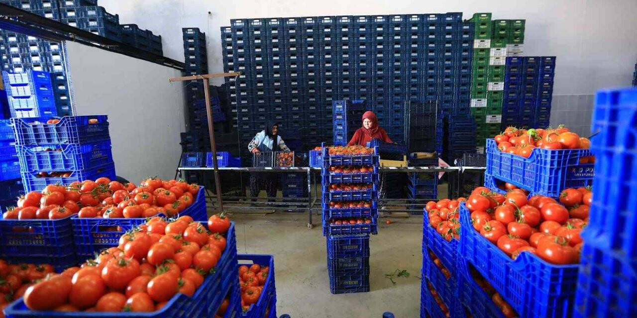 Büyükşehir, toptancı hal esnafına ‘kefil’ oluyor