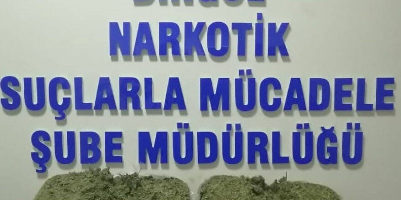 Bingöl’de 4 kilo 950 gram esrar ele geçirildi