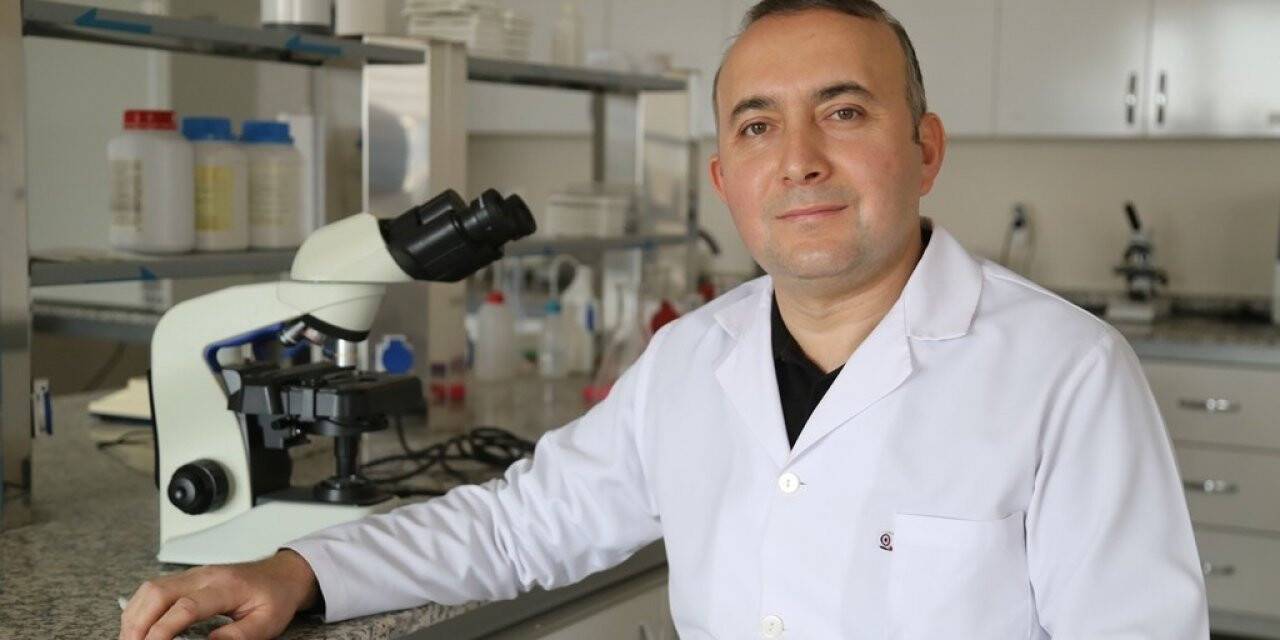 Malaklı köpekleri bilimsel bir disiplin içinde araştırılacak