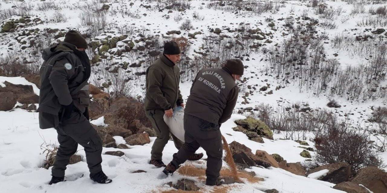 Elazığ’da yaban hayvanları için doğaya yem bırakıldı