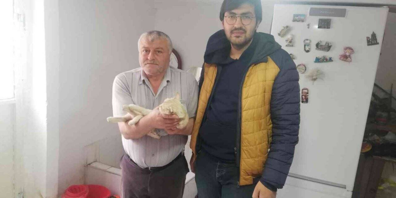 Akşehir Belediyesi sahipli hayvanlar için de kısırlaştırma hizmetine devam ediyor