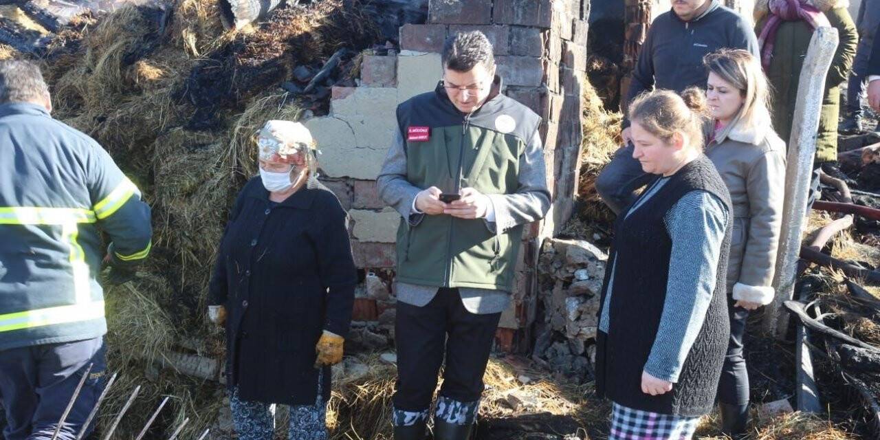 Kırklareli’nde ağılda çıkan yangında 156 hayvan telef oldu
