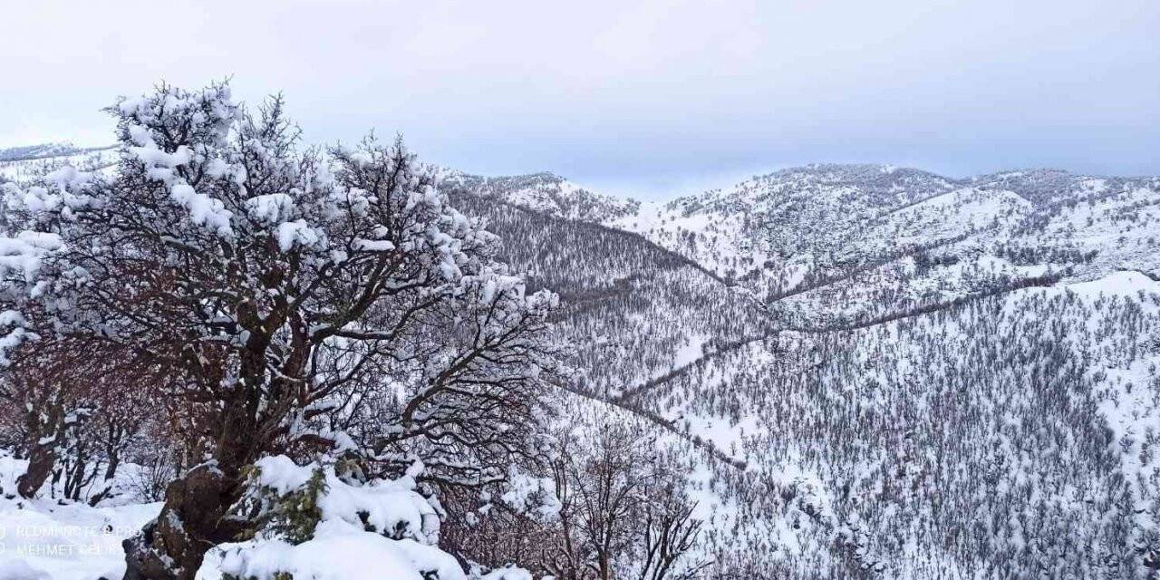 Batman’da beklenen kar yağışı etkili oldu