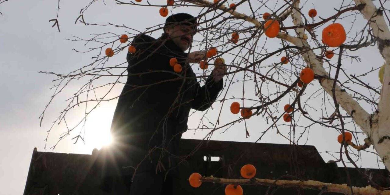 Osmanlının ince geleneği burada yaşatılıyor