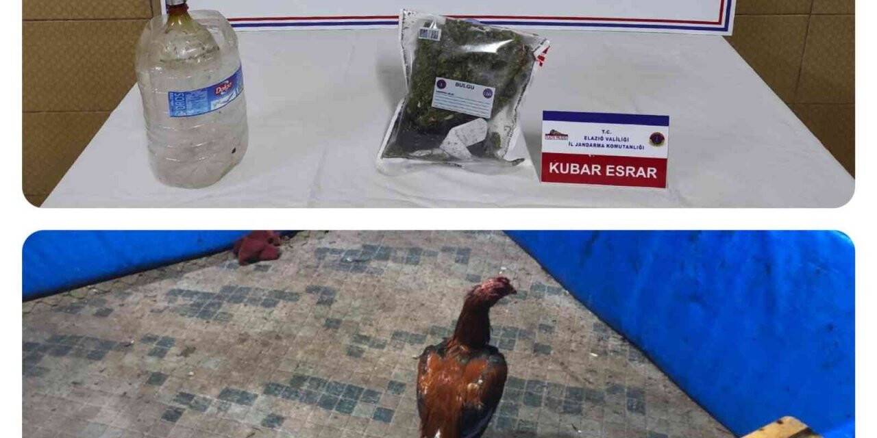 Elazığ’da horoz dövüşü operasyonu: 17 kişi yakalandı