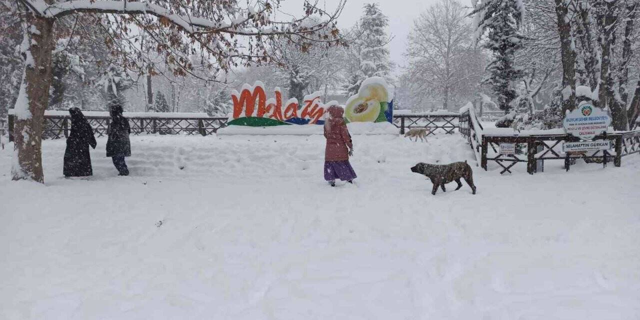 Malatya’da kar yağışı kartpostallık görüntüler oluşturdu