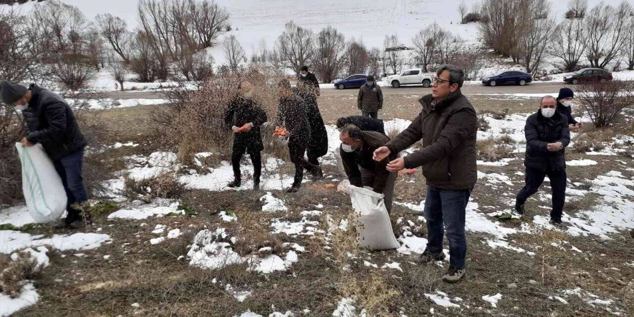Doğadaki hayvanlara yem bırakıldı