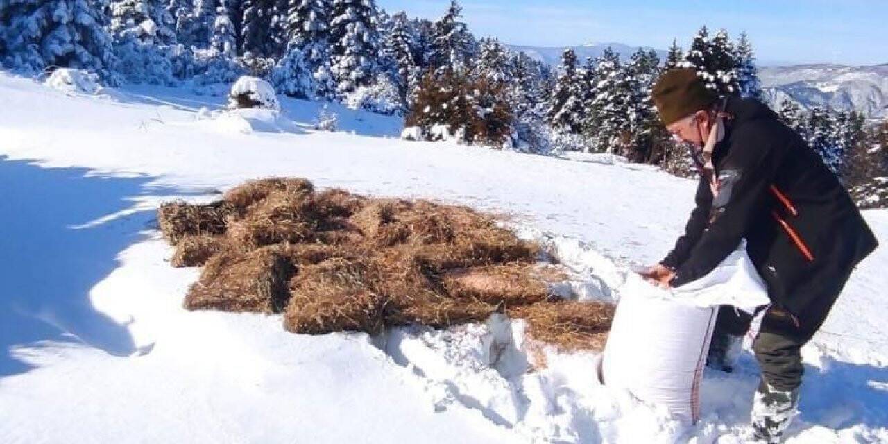 Doğa Koruma ve Milli Parklar Müdürlüğü, yaban hayvanlarını unutmadı