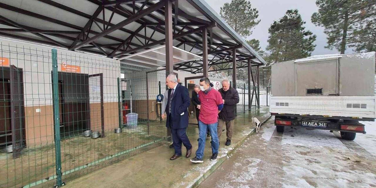 Başkan Aygün, Sokak Hayvanları Rehabilitasyon Merkezi’ni inceledi