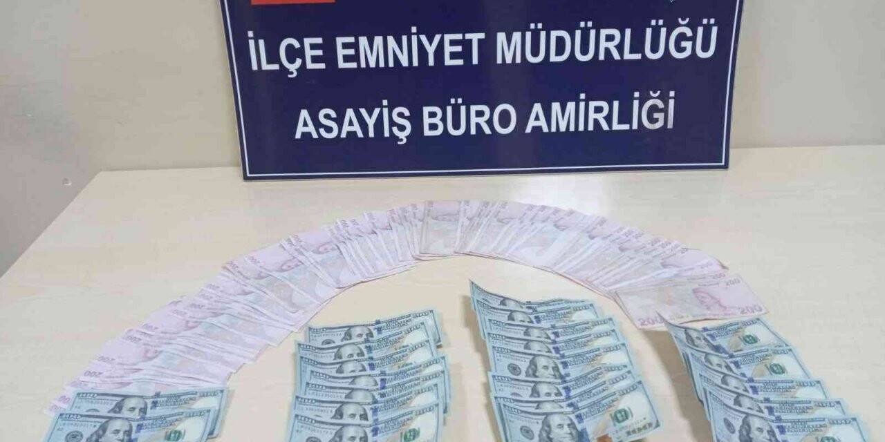 Çelik kasadan 20 bin TL ve 10 bin dolar para çalan hırsızlar yakalandı