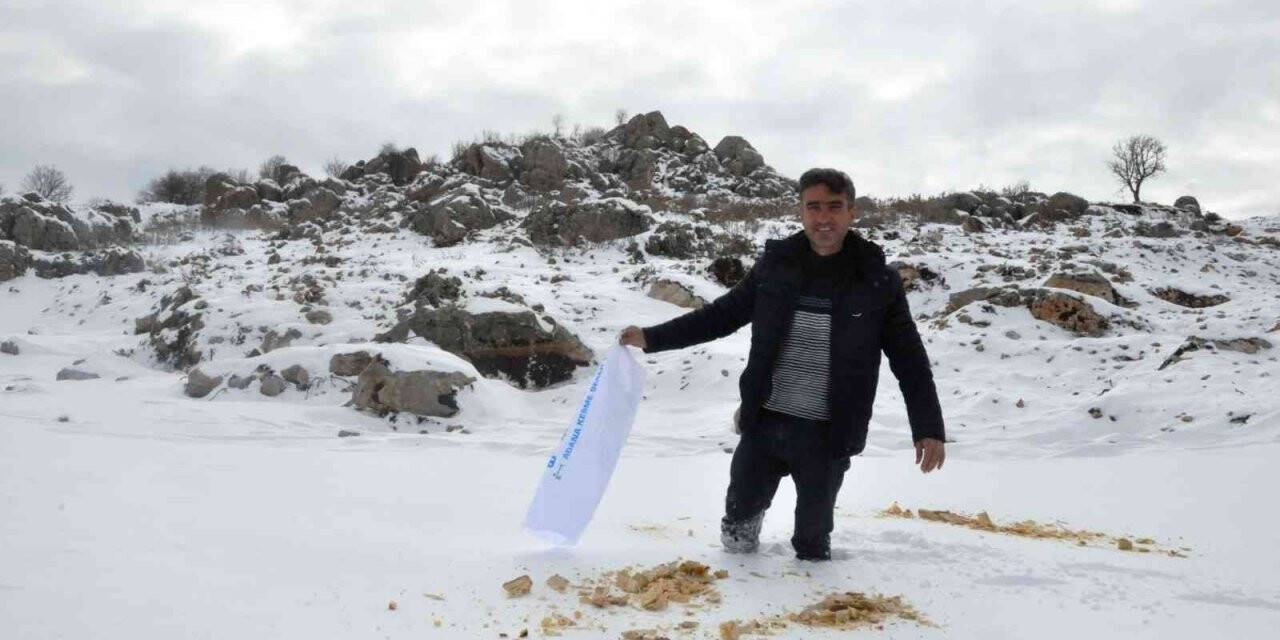 Gazeteciler Cemiyeti yaban hayvanlarını unutmadı, doğaya yem bıraktı