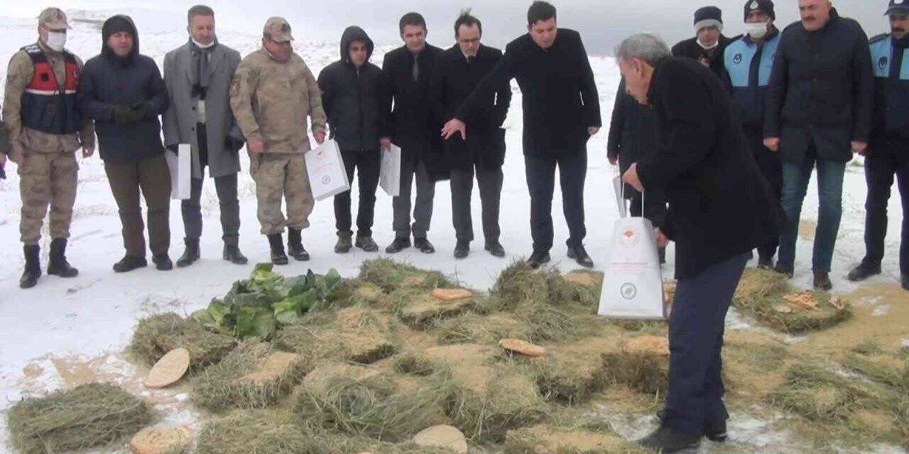 Pütürge’de yaban hayvanları unutulmadı