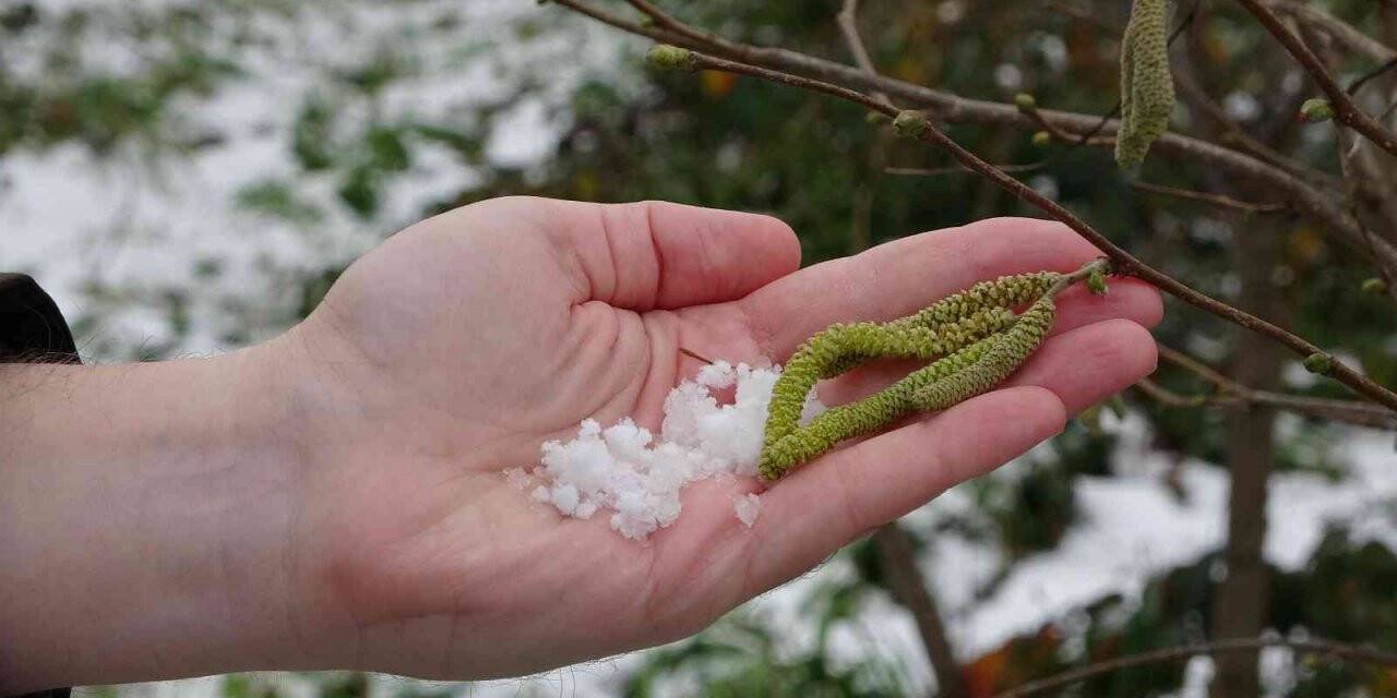Soydan: “Bölgedeki kar yağışı fındık açısından oldukça faydalı”