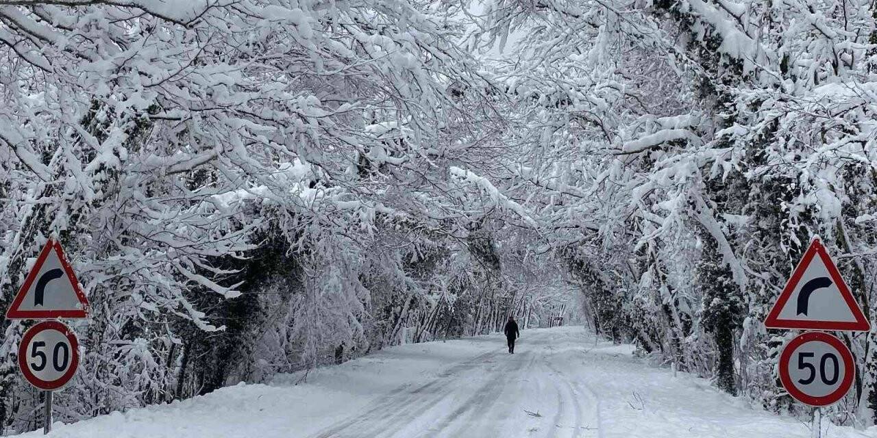 Ağaç Tünel eşsiz kar manzaraları sundu