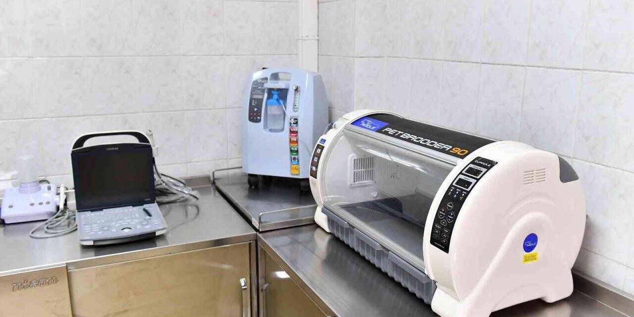 Kurtuluş Sokak Hayvanları Sağlık Merkezi’nin tedavi cihazları yenilendi