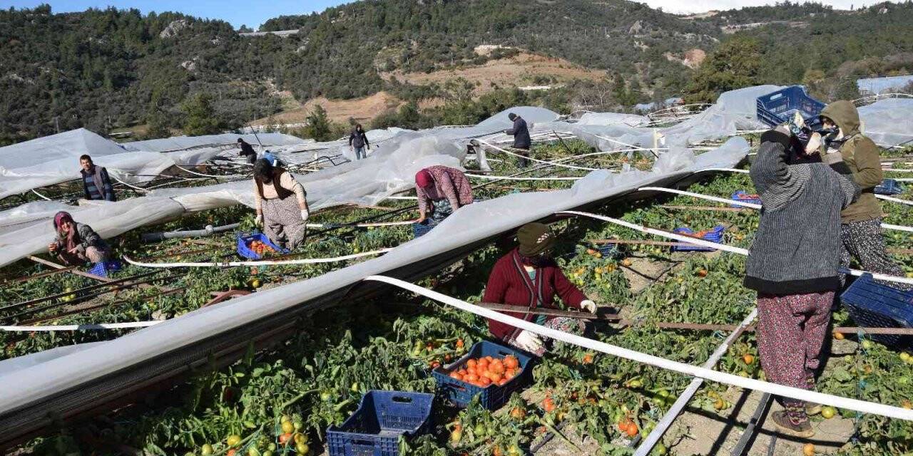 Antalya’da seraları bu defa poyraz fırtınası vurdu