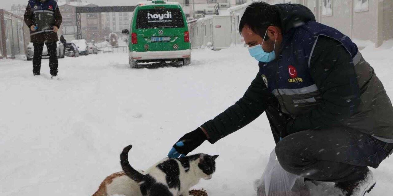 Elazığ’da ’HAYDİ’ polisleri sokak hayvanlarını mamayla besledi