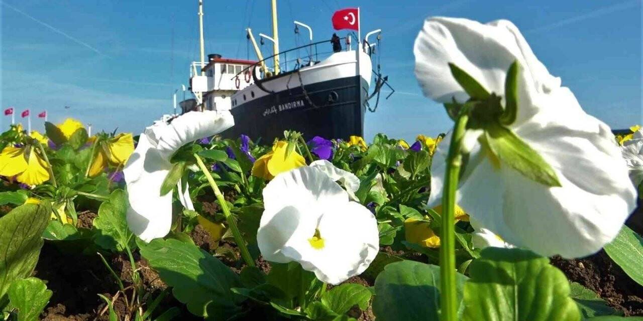 Samsun’da 1500 ağaç ve 53 bin bitki toprakla buluşacak