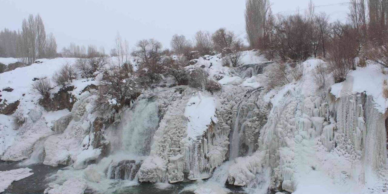 Muradiye Şelalesi dondu