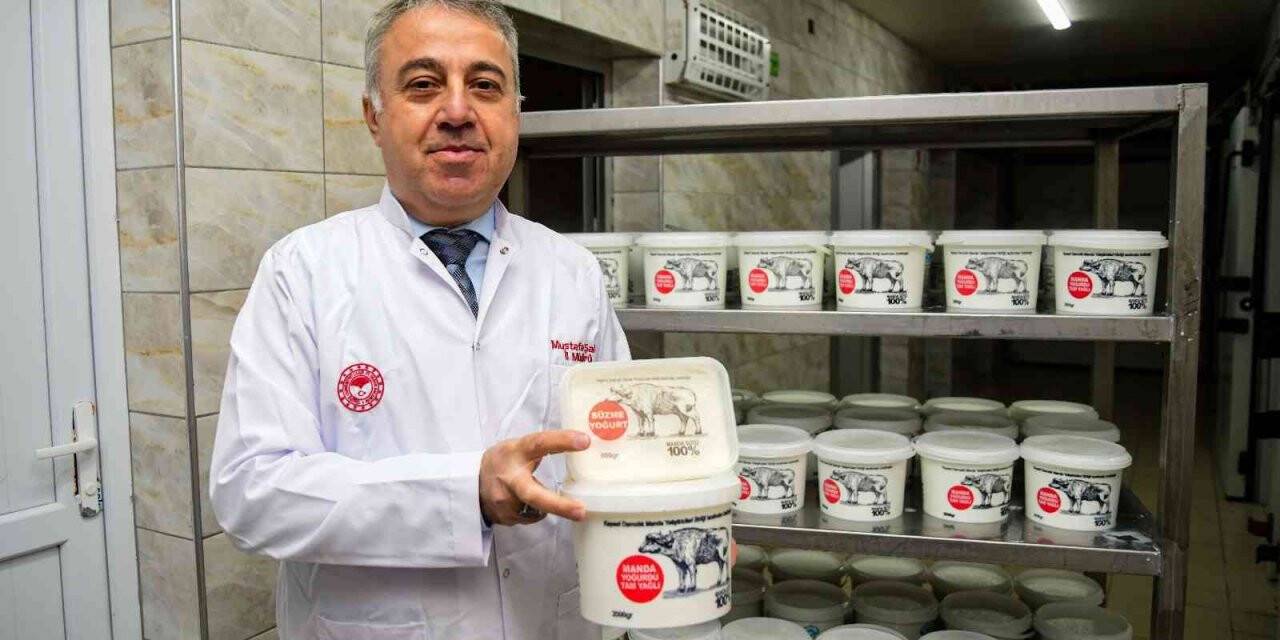 Hürmetçi manda sütü bu tesiste markalaşıyor