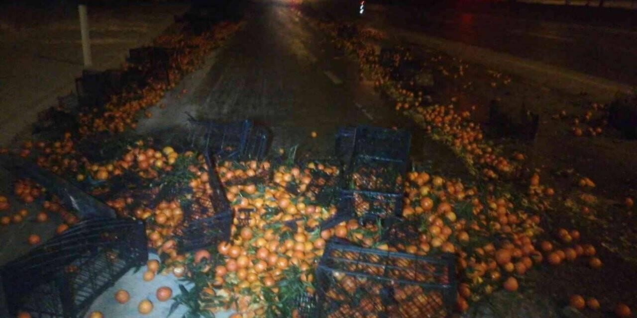 Afyonkarahisar’da tırın dorsesi savruldu, mandalinalar yolu saçıldı
