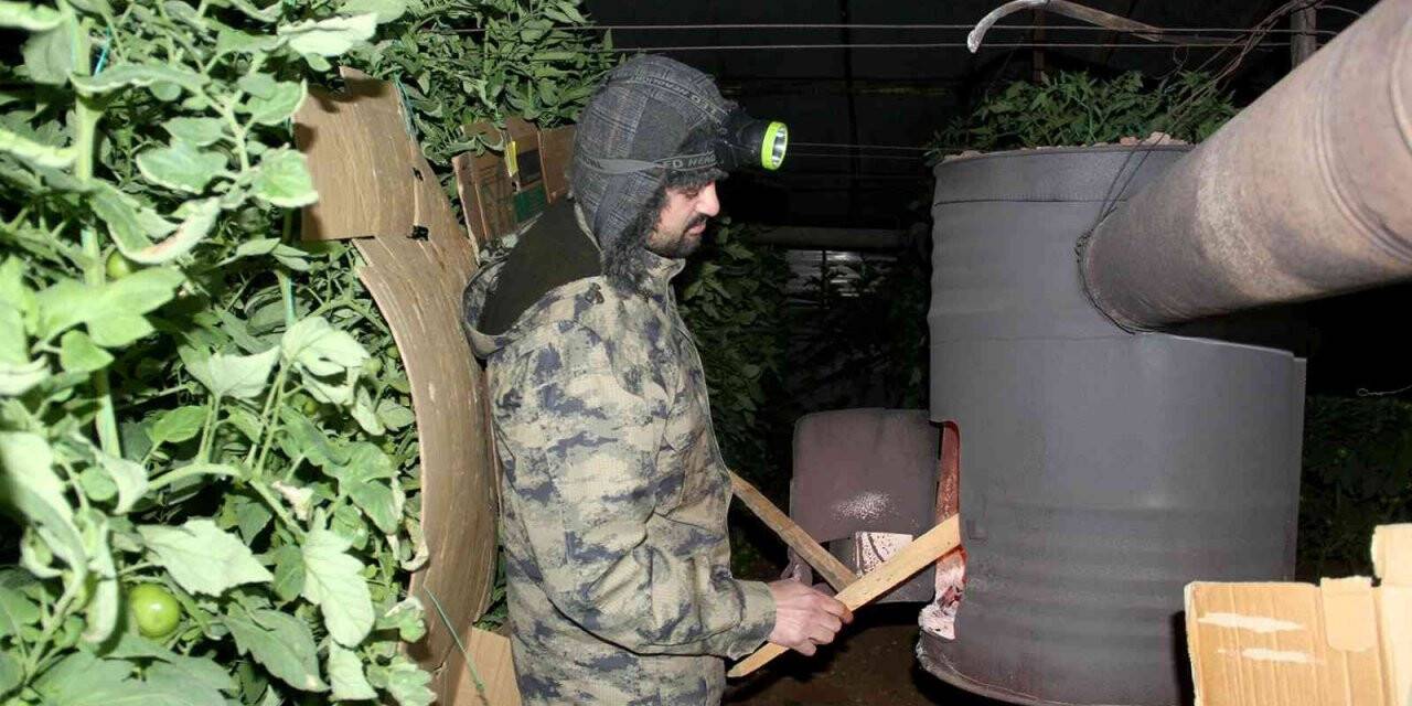 Fethiye’de seracıların sobalı zirai don nöbeti