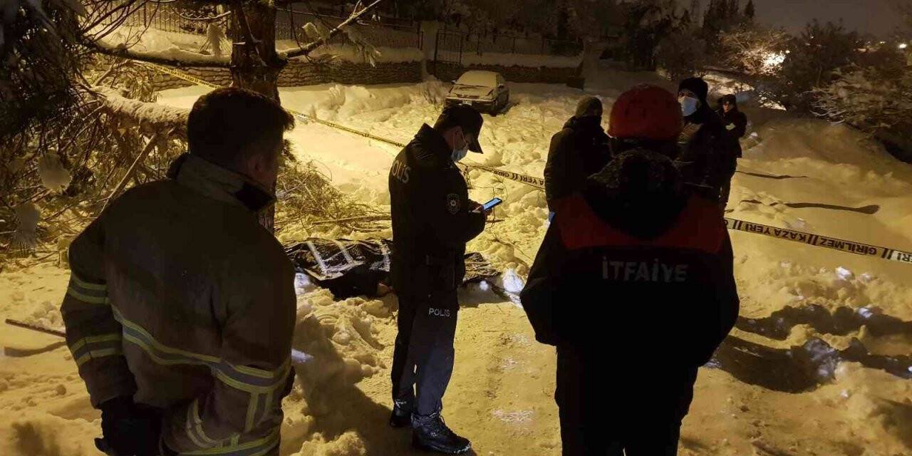Yaşlı adam devrilen ağacın altında ölü bulundu