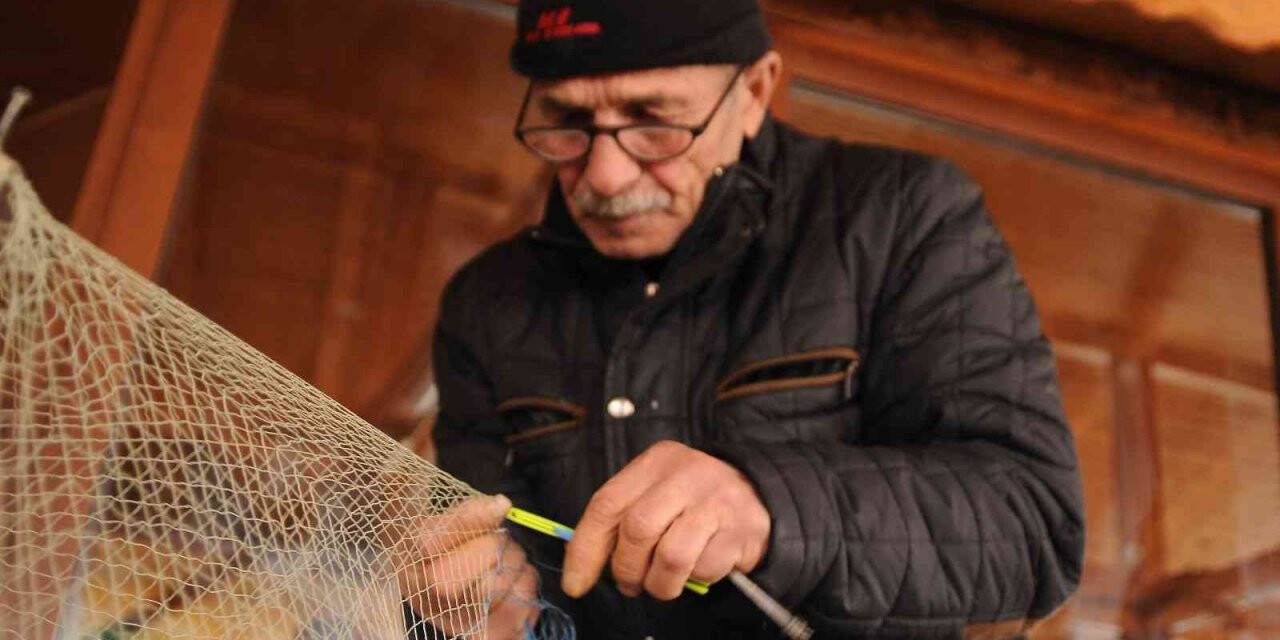 Balıkçılar yunusların ağlara verdiği yaraları sarıyor