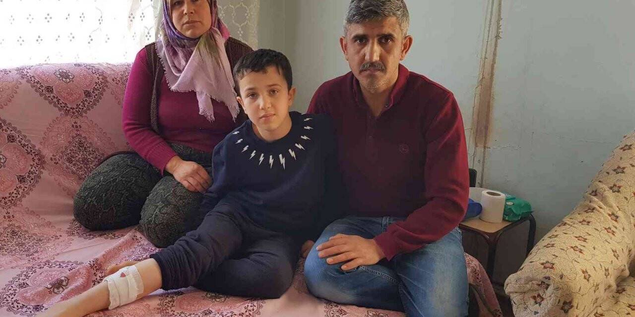 Sokak Köpekleri bir çocuğa daha saldırdı