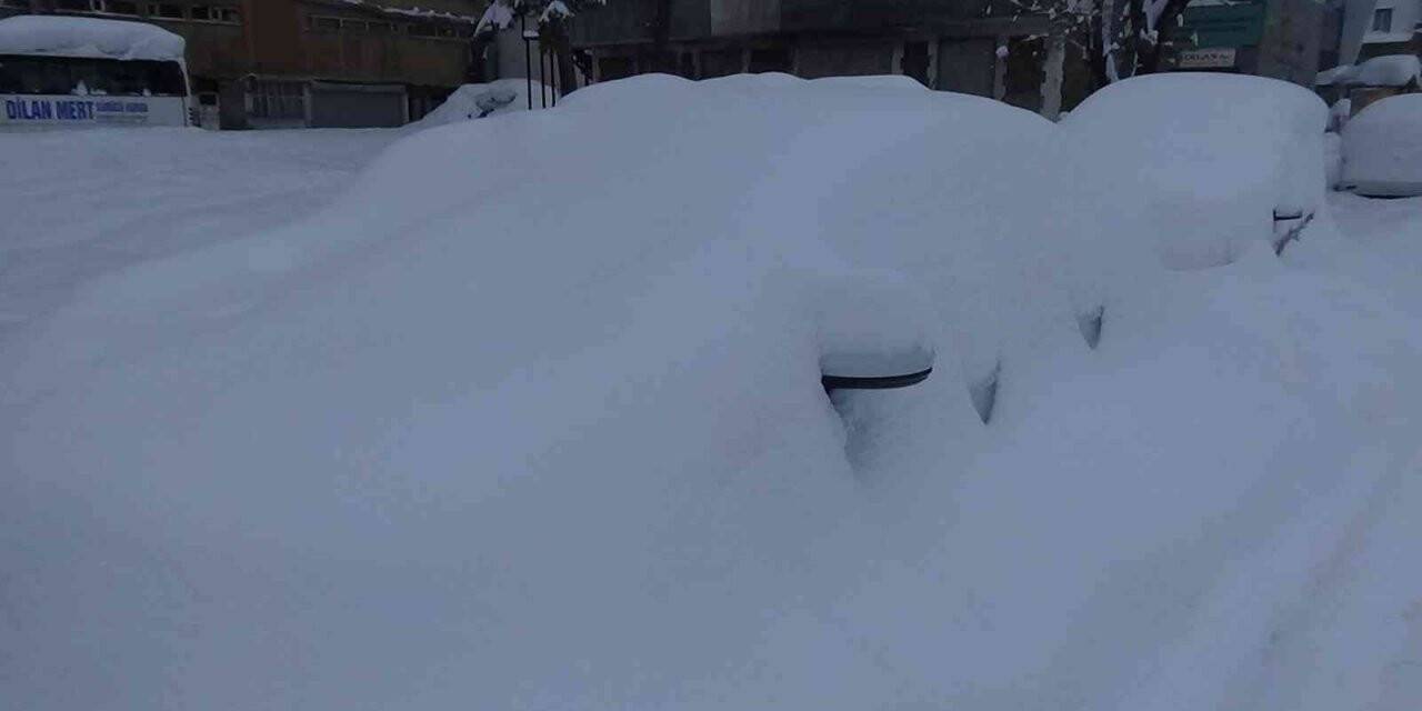 Muş’ta 352 köy yolu ulaşıma kapandı