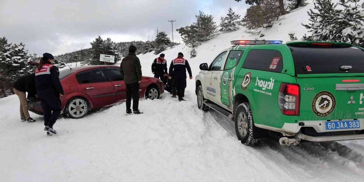 Yaban hayatı için yola çıktılar, mahsur kalan şahsı kurtardılar