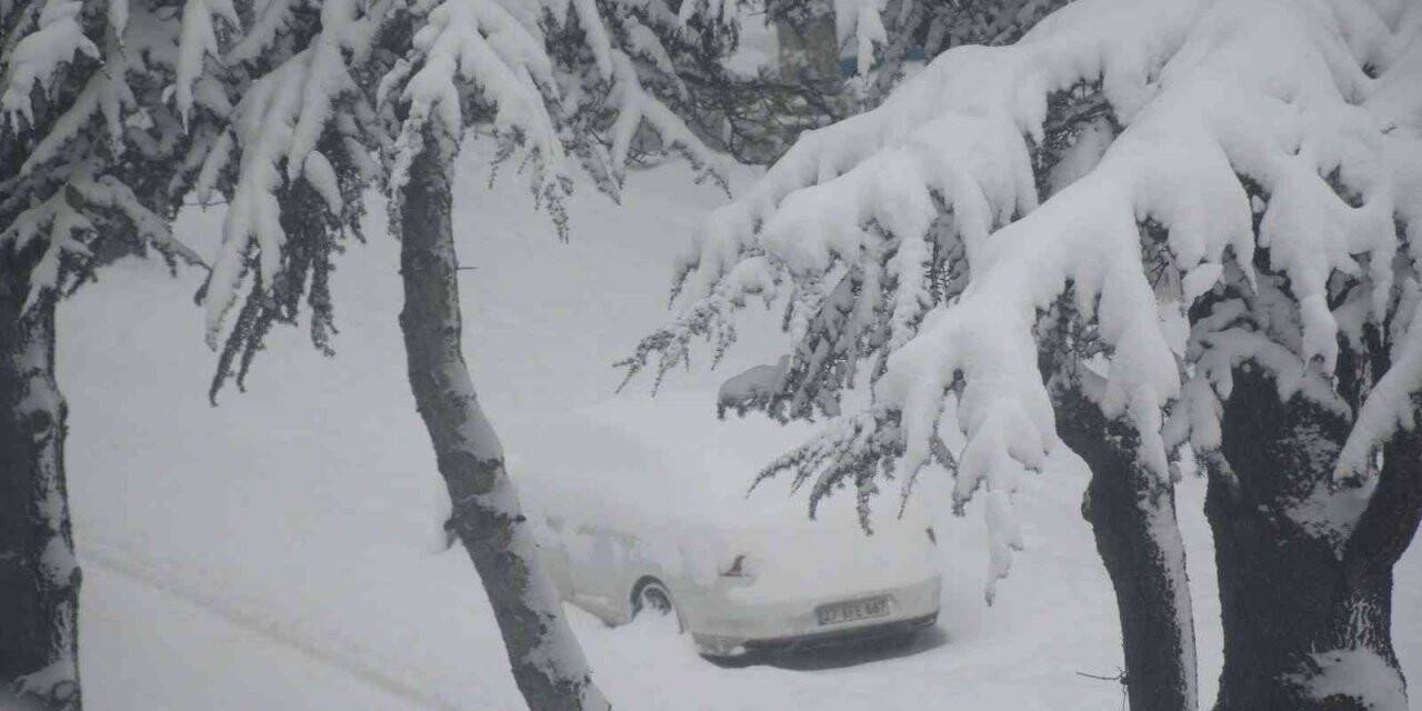 Tatvan kara teslim oldu