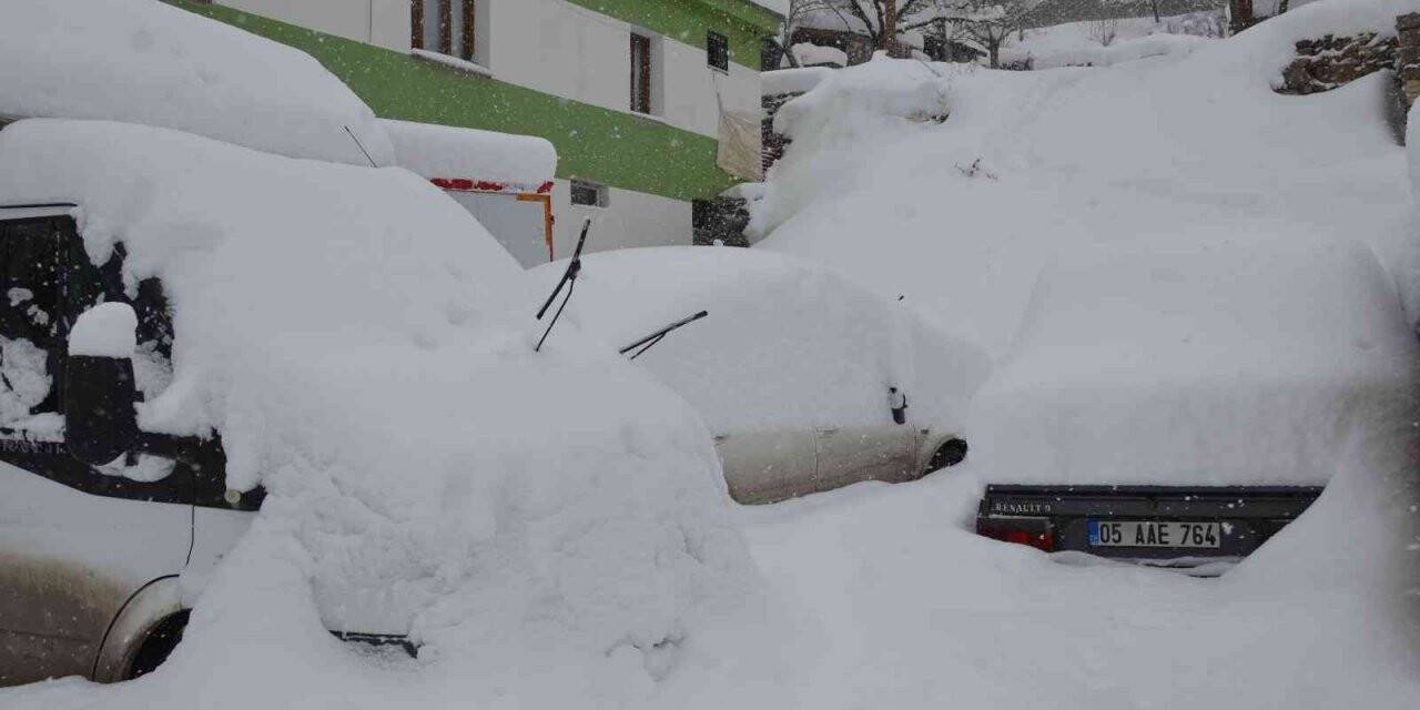 Şırnak’ta ağaçlar kırıldı, araçlar karda kayboldu