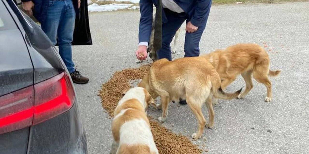 Başkan Ayhan: “Su, mama, bir de sevgiyi ihmal etmeyelim”