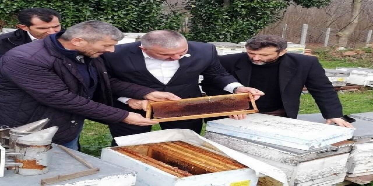 Yüzlerce arı nosema hastalığı sebebi ile telef oldu