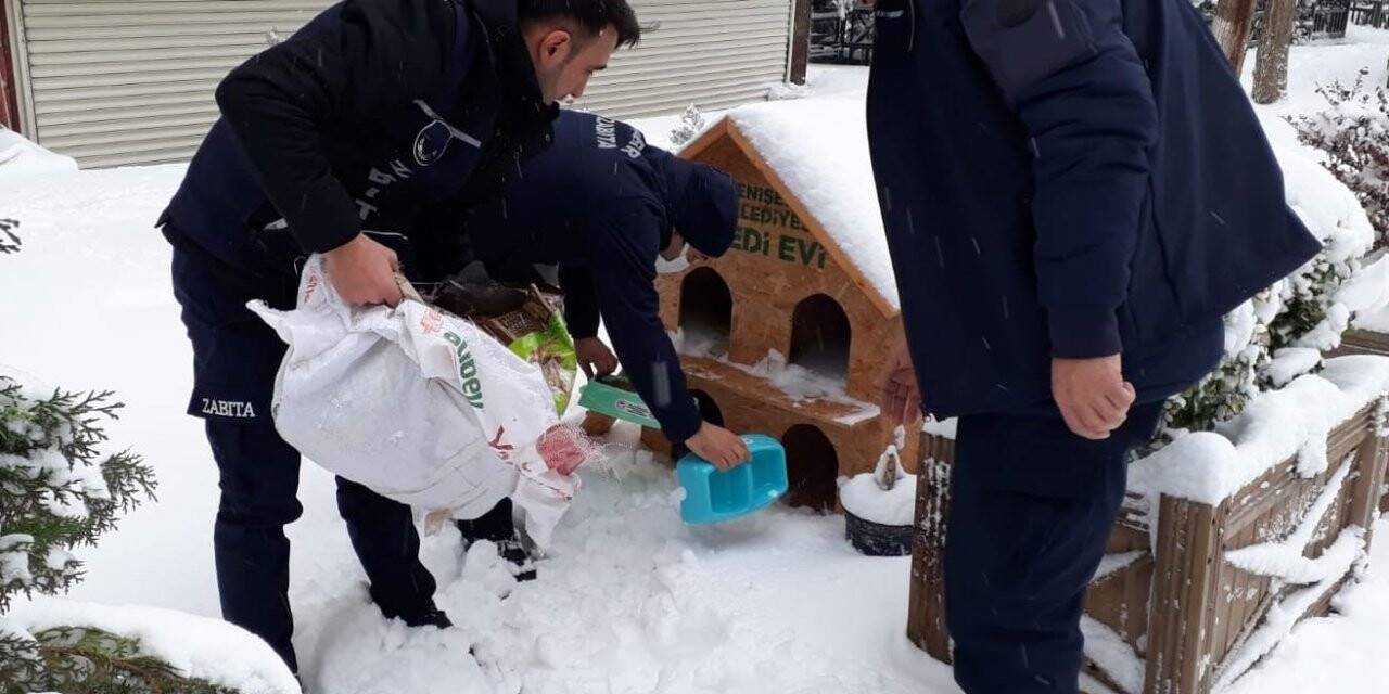 Yenişehir Belediyesi ‘can dostları’ unutmadı