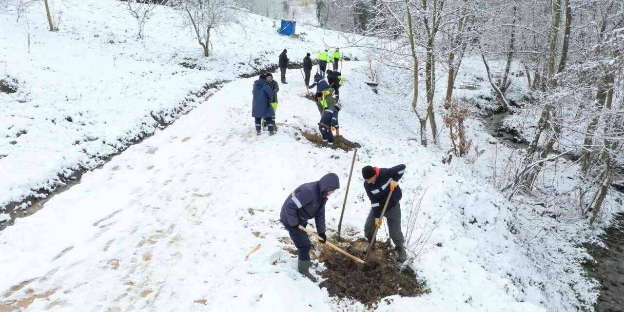 Damlar Vadisi Milet Bahçesi’nde çalışmalar sürüyor
