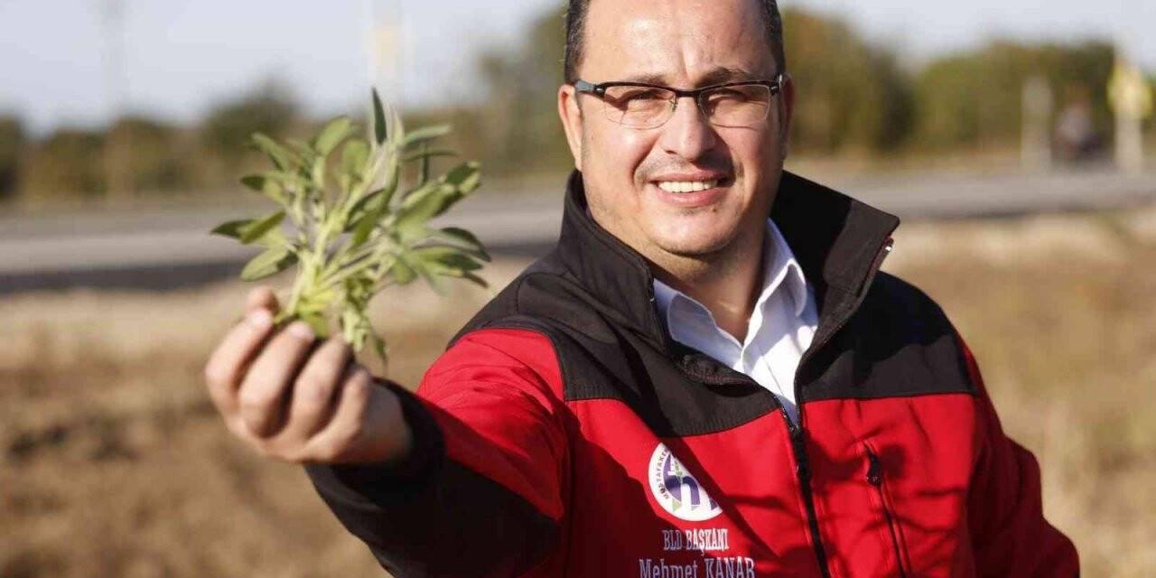 Çiftçilere yüzde 50 hibe desteği