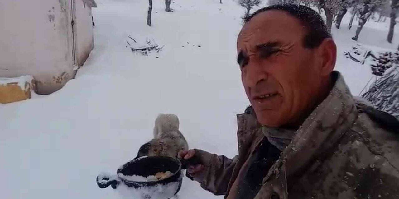 Kendi yemeğini sokak hayvanlarıyla paylaştı