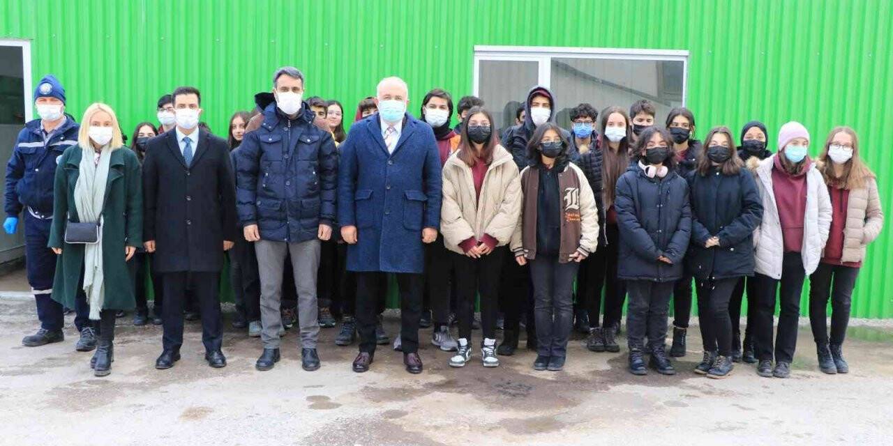 Yosunlar bitkiler için gübreye dönüşüyor