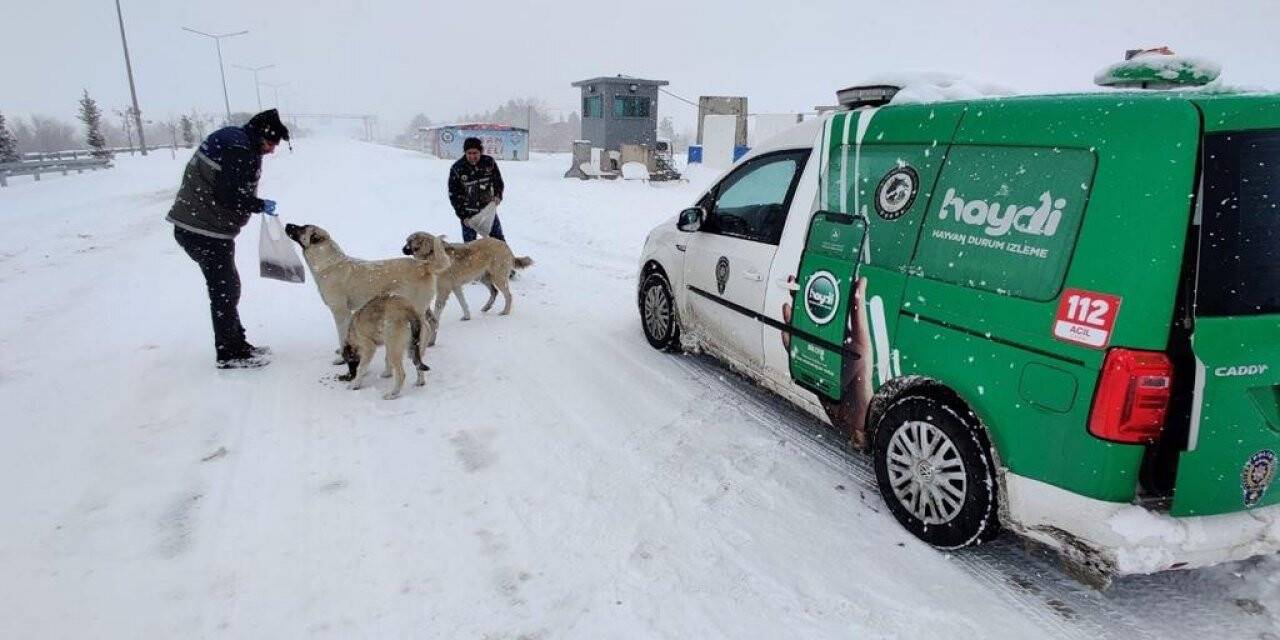 Elazığ polisi sokak hayvanlarını unutmadı