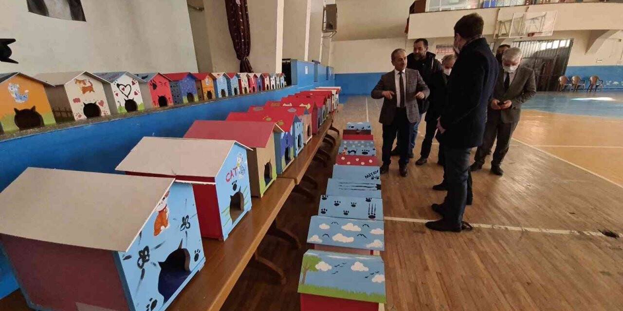 Öğrenciler okullardan çıkan atık malzemelerle kedi evleri yaptı