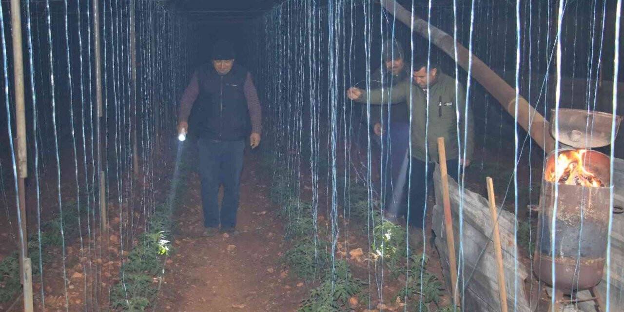 Mersin’de bahçelerde lastikler, seralarda sobalar yakıldı, zirai don nöbeti başladı